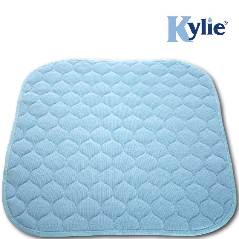 Kylie Chair Pad Blue 1 Litre 50 X 50cm